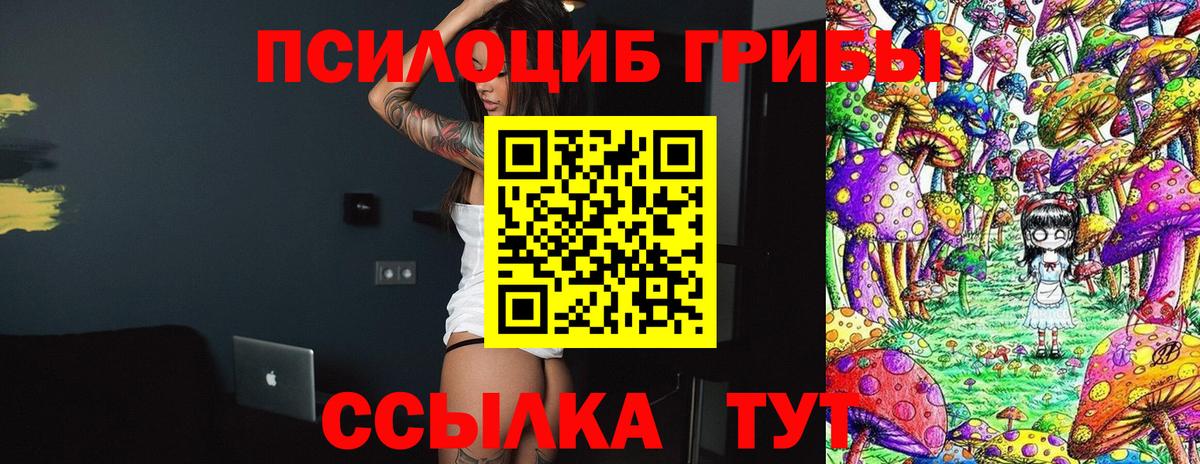 Галлюциногенные грибы GOLDEN TEACHER  Псилоцибиновые грибы Psilocybe  Саранск  Вход с VPN 