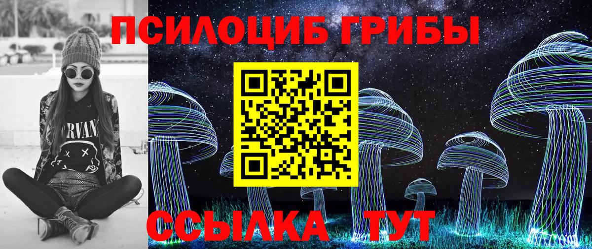 Галлюциногенные грибы мухоморы Саранск